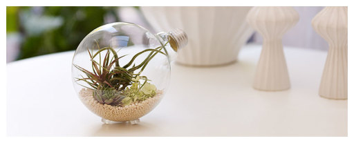 Mini terrarium made from light bulb