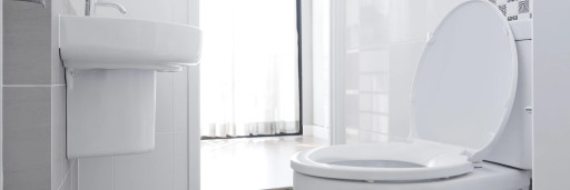 Clean toilet and bathroom