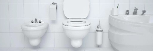 Clean toilet and bathroom